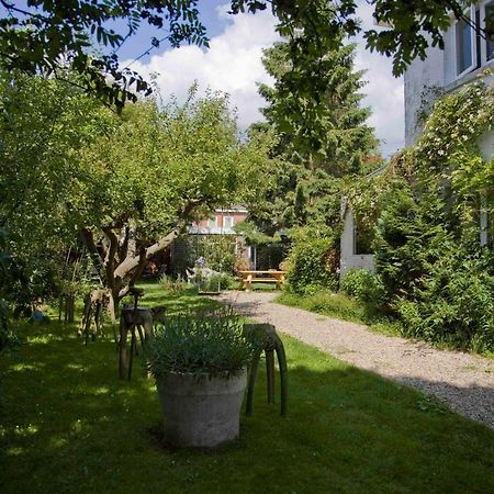 أوترخت Achter Het Witte Huis المظهر الخارجي الصورة